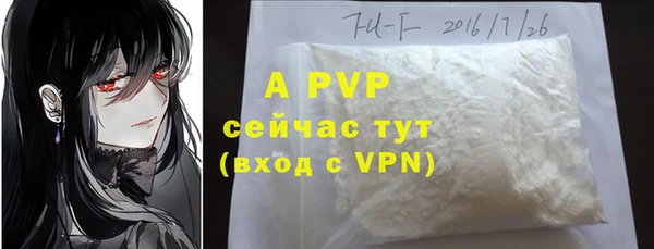 прущие крисы Горняк