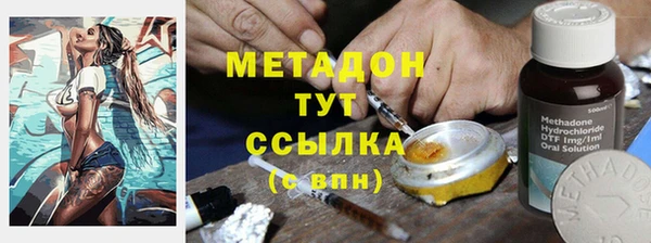 прущие крисы Горняк