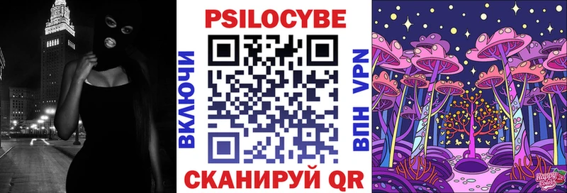 Псилоцибиновые грибы мицелий  где продают   Дальнегорск 